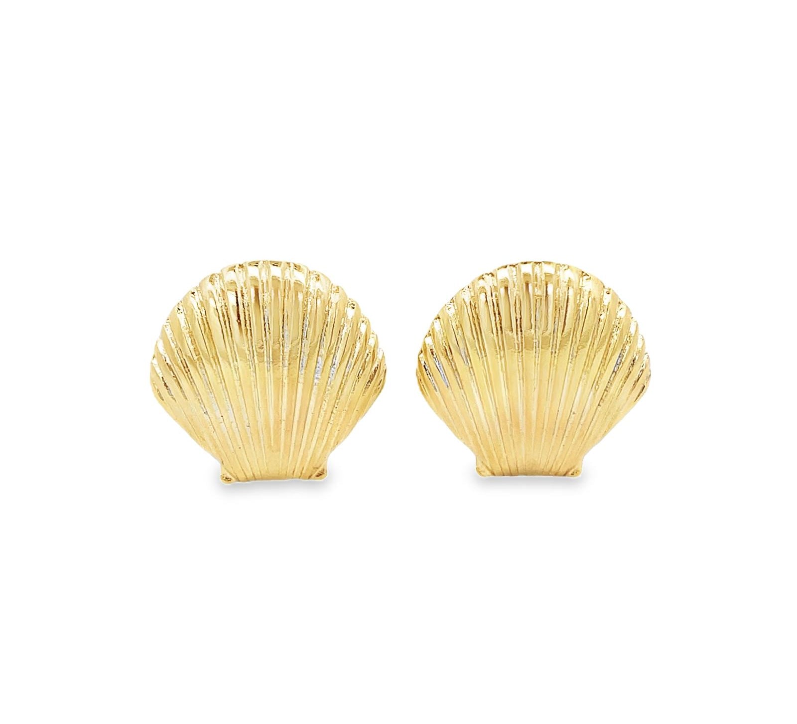 Seashell Earrings